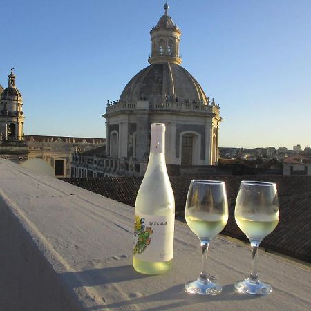 卡塔尼亚La Terrazza Di Sant'Agata公寓 外观 照片