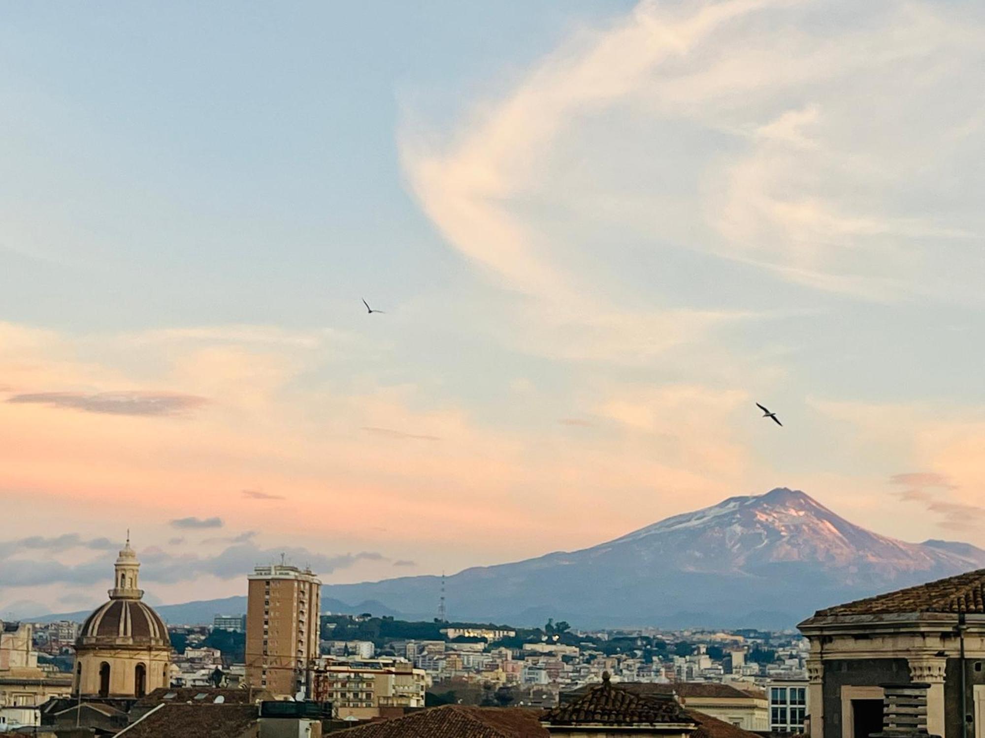 卡塔尼亚La Terrazza Di Sant'Agata公寓 外观 照片
